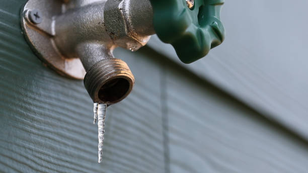 Best Commercial Plumbing Services  in Orlando, FL